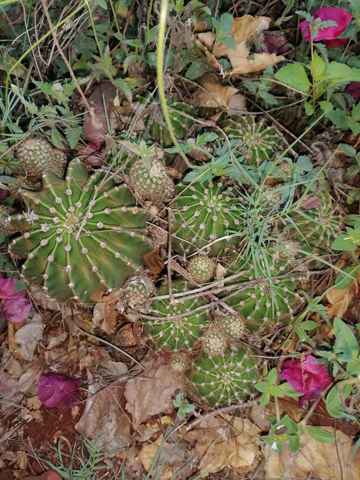 WhatsApp Image 2025-12-22 at 21.20.03 (1)