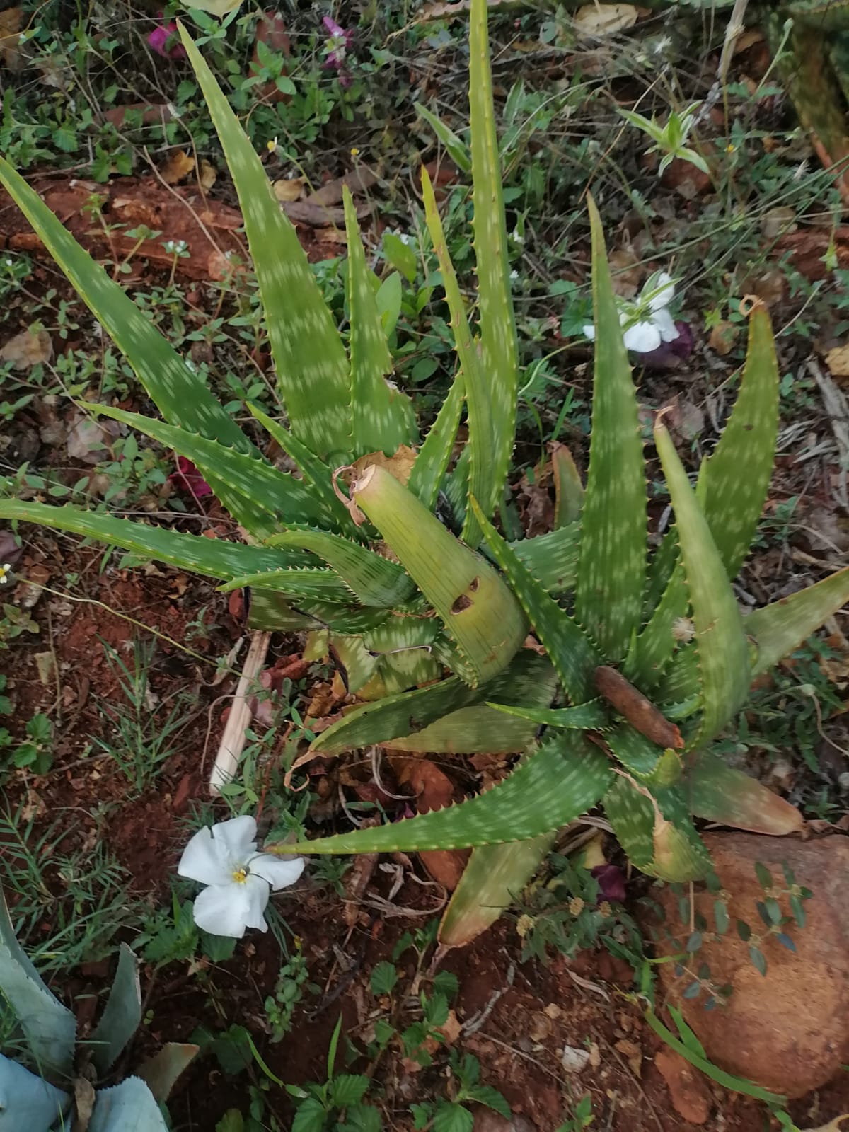 WhatsApp Image 2025-12-22 at 21.20.03