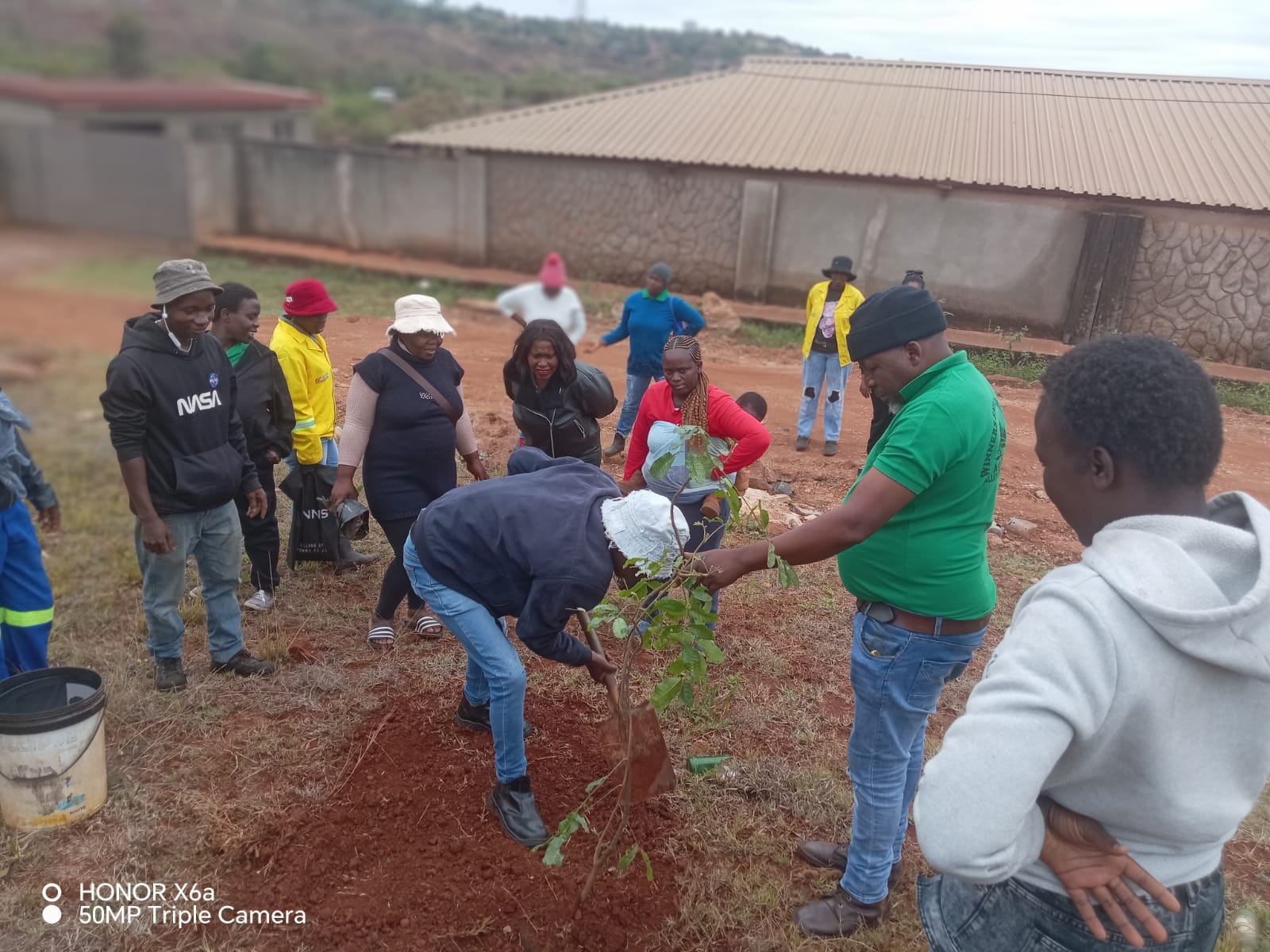 Tree planting